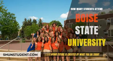 Boise State University: Enrollment Figures and Trends