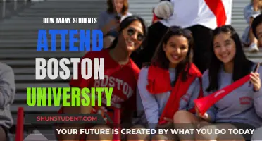 Boston University's Student Population: How Many Attend?