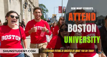 Boston University's Student Population: A Comprehensive Overview