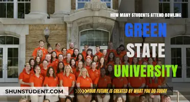 Bowling Green State University: Student Population Insights