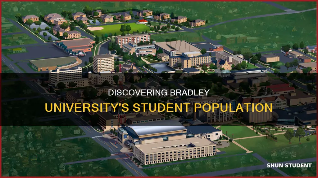 how many students attend bradley university