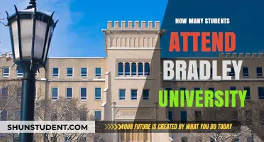 Discover Bradley University's Student Population