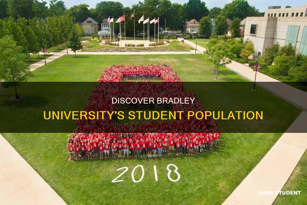 how many students attend bradley university