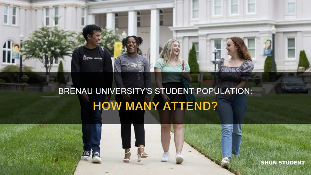 how many students attend brenau university