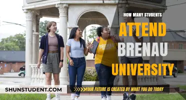 Attendee Figures for Brenau University: A Comprehensive Overview