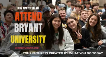 Attendee Numbers at Bryant University: How Many Students?