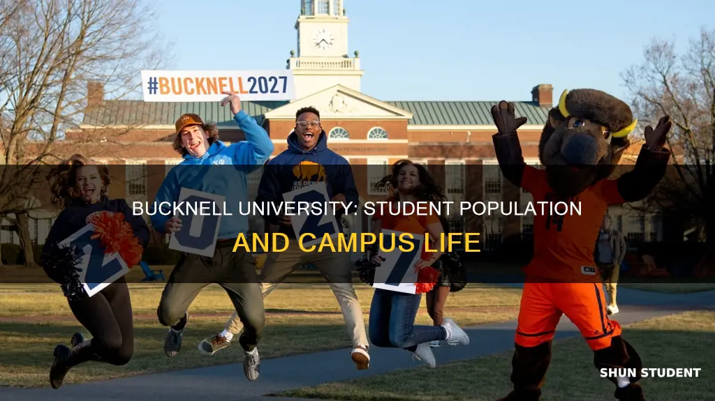 how many students attend bucknell university