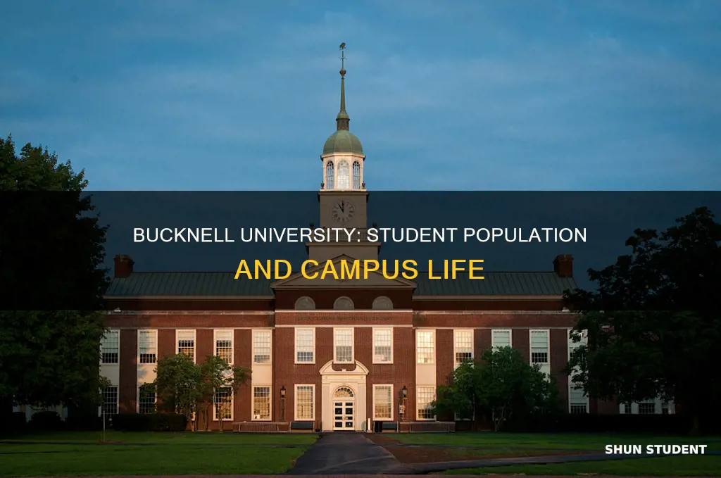 how many students attend bucknell university