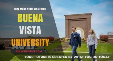 Attendee Numbers at Buena Vista University: An Overview
