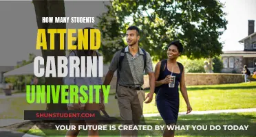 Exploring Enrollment Figures at Cabrini University