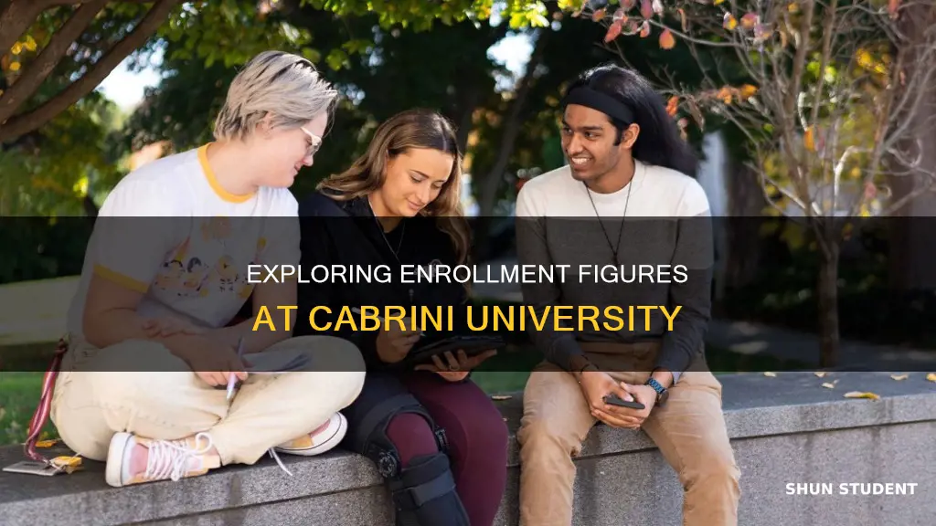 how many students attend cabrini university