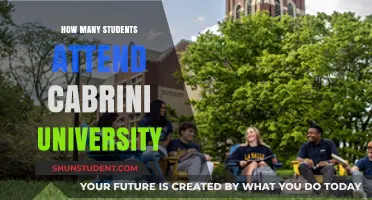 Attendee Numbers at Cabrini University: A Comprehensive Overview