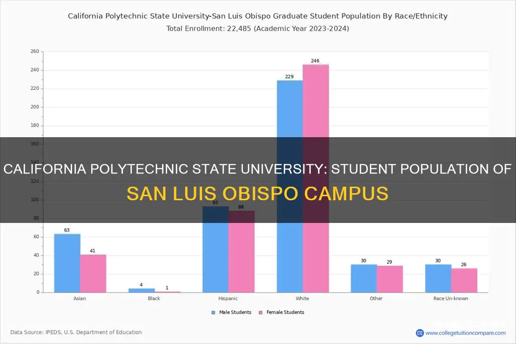 how many students attend california polytechnic university san luis obispo