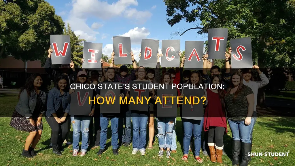 how many students attend california state university chico