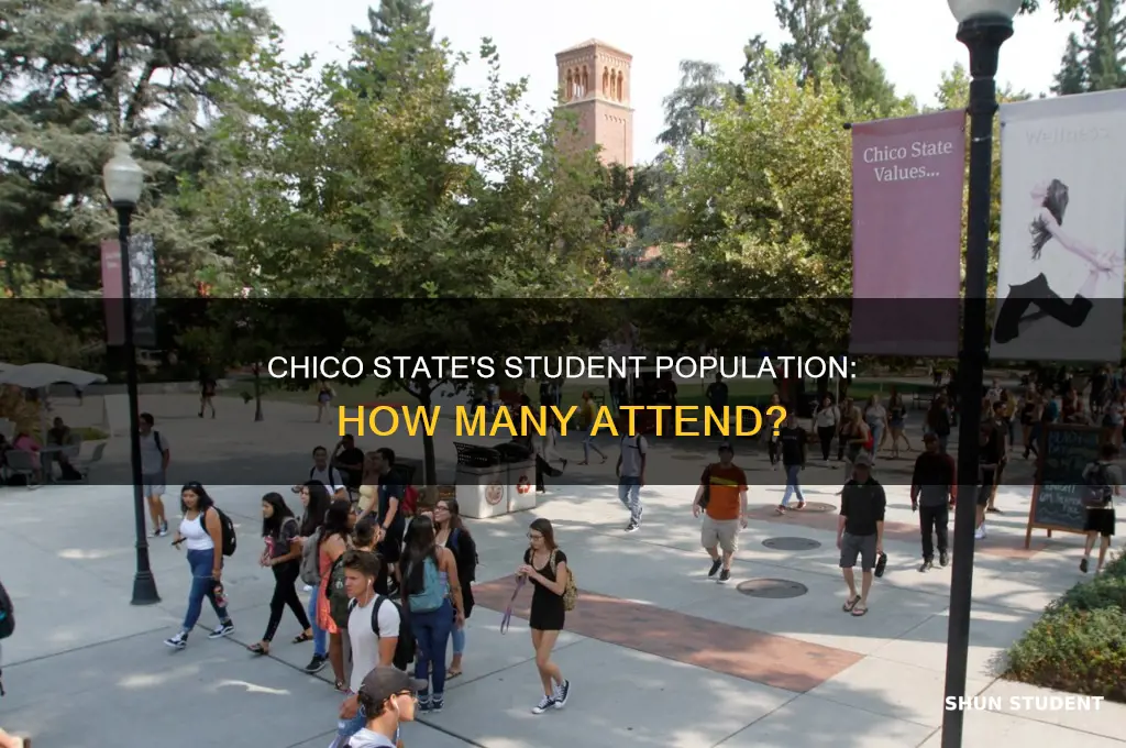 how many students attend california state university chico