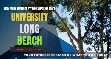 Long Beach's California State University Student Population