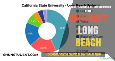 Long Beach's California State University Student Population