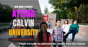 Attendee Numbers at Calvin University: How Many Students?