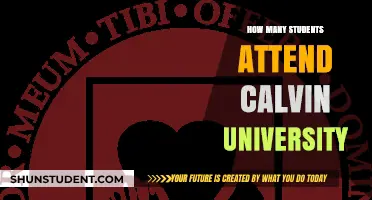 Attendee Numbers at Calvin University: How Many Students?