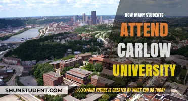 Carlow University: Student Population and Campus Life