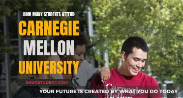 Exploring Carnegie Mellon University's Student Population