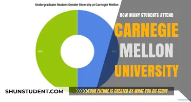 Exploring Enrollment at Carnegie Mellon University