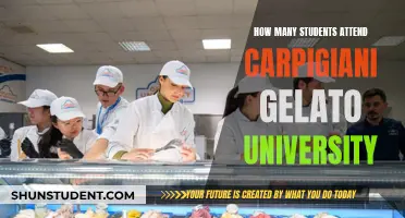 Carpigiani Gelato University: A Sweet Education for Many Students