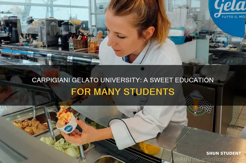 how many students attend carpigiani gelato university