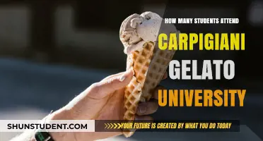 Carpigiani Gelato University: Class Sizes and Student Numbers