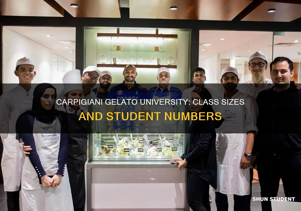 how many students attend carpigiani gelato university