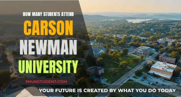 Carson-Newman University: A Small, Intimate Learning Environment?