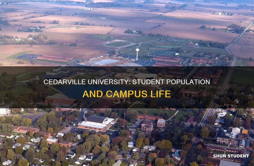 how many students attend cedarville university