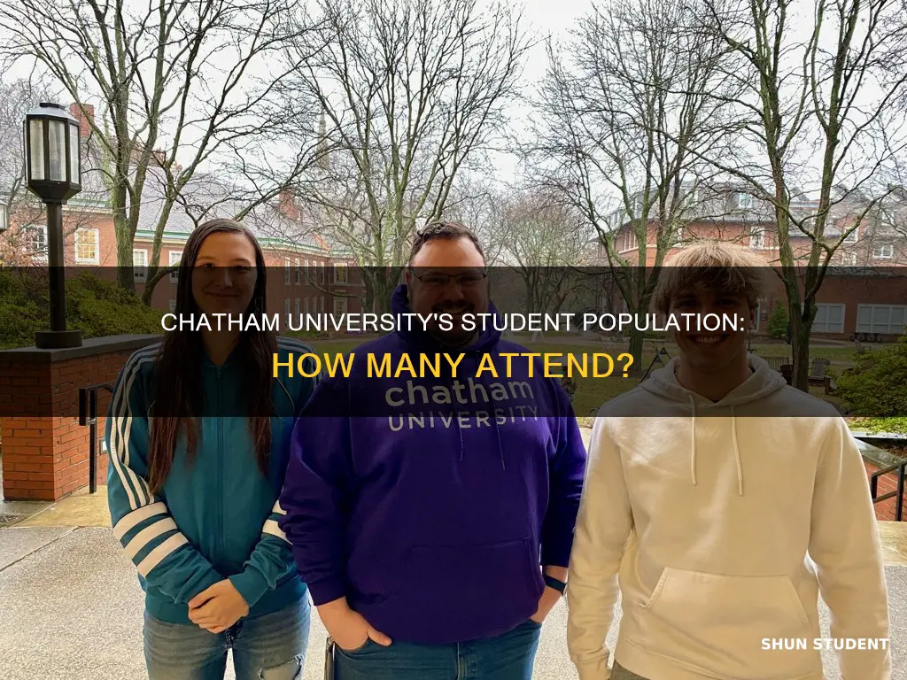 how many students attend chatham university