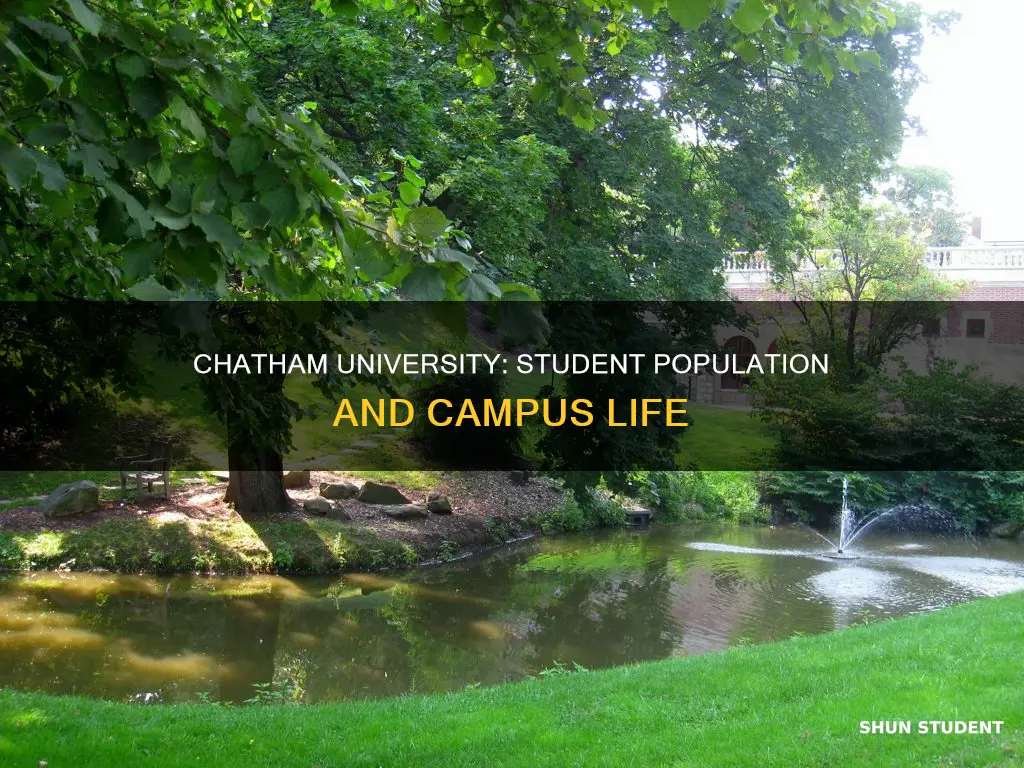 how many students attend chatham university