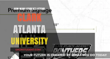 Clark Atlanta University Student Population
