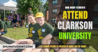 Clarkson University Student Population: How Many Attend?