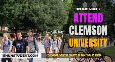 Exploring Clemson University's Student Population: A Comprehensive Overview