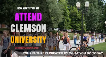 Exploring Clemson University's Student Population
