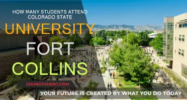 Exploring Enrollment at Colorado State University Fort Collins