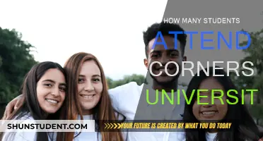 Attendee Numbers at Cornerstone University: How Many Students?