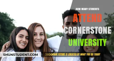 Attendee Numbers at Cornerstone University: A Comprehensive Overview