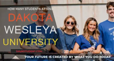 Attendee Numbers at Dakota Wesleyan University: A Comprehensive Overview