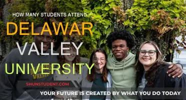 Exploring Delaware Valley University's Student Population