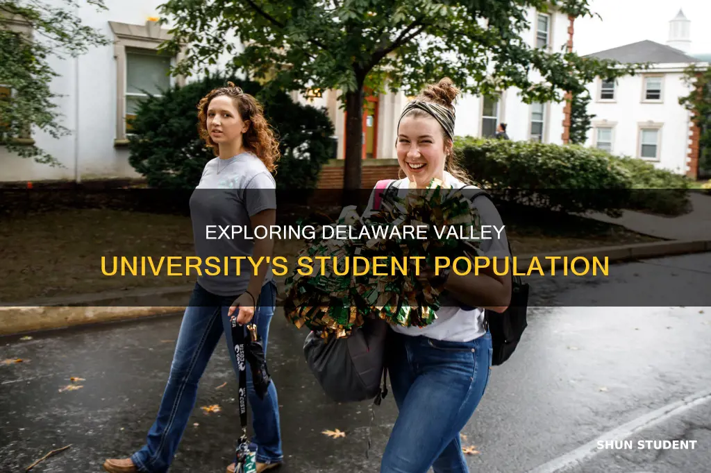 how many students attend delaware valley university