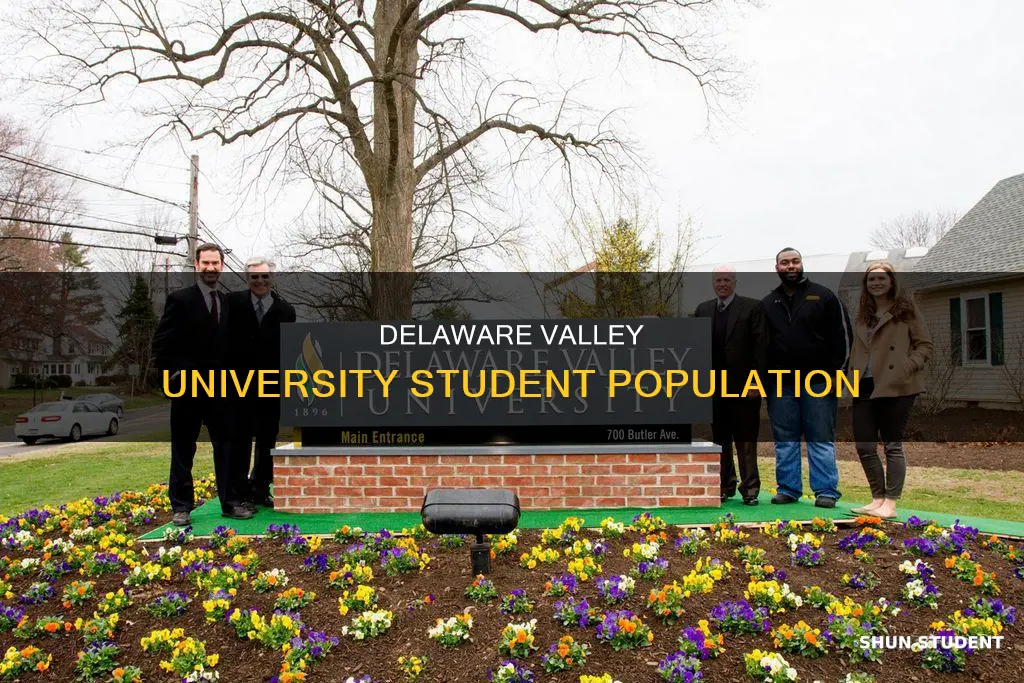 how many students attend delaware valley university