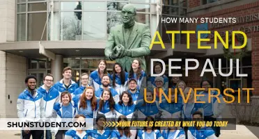 DePaul University's Student Population: How Many Attend?