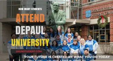 Attendee Numbers at DePaul University: An Overview