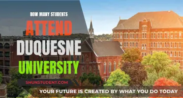 Duquesne University Student Population: How Many Attend?