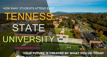 Exploring East Tennessee State University's Student Population