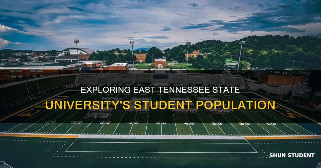 how many students attend east tennessee state university